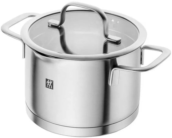 Roestvrijstalen kookpot met glazen deksel en twee handgrepen.