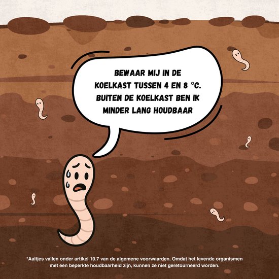 Trips Insecten Strijtveen & Wagenaar Combipakket - Aaltjes tegen Trips 10m² + 12 ...