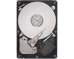 Seagate SkyHawk interne harde schijf 1 TB 256 MB 3.5" SATA III