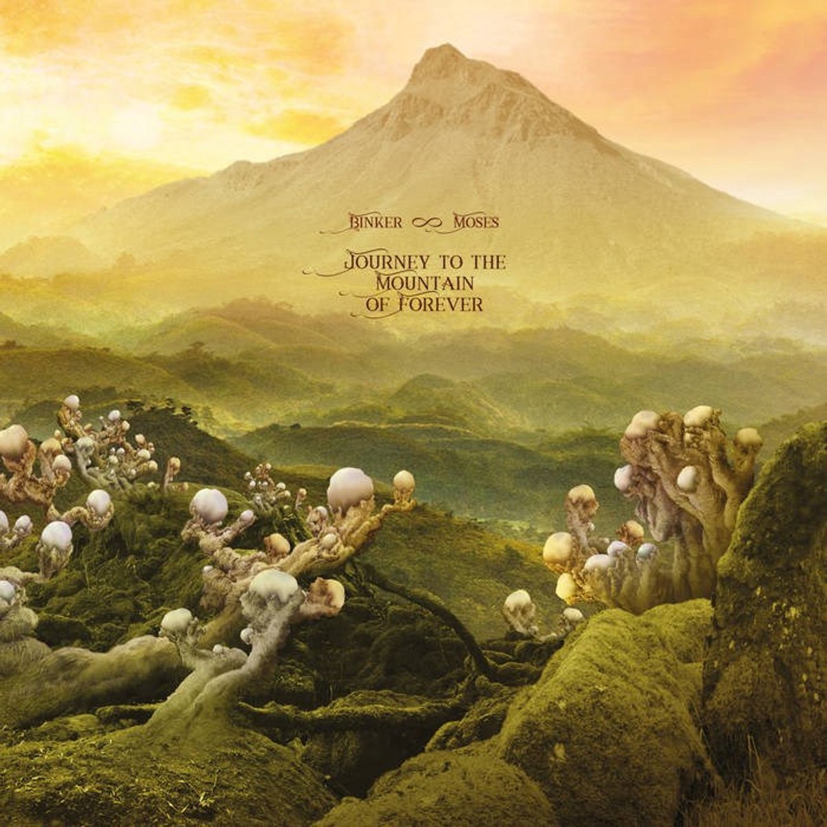 Binker And Moses - Journey To The Mountain Of Forever (2 LP)