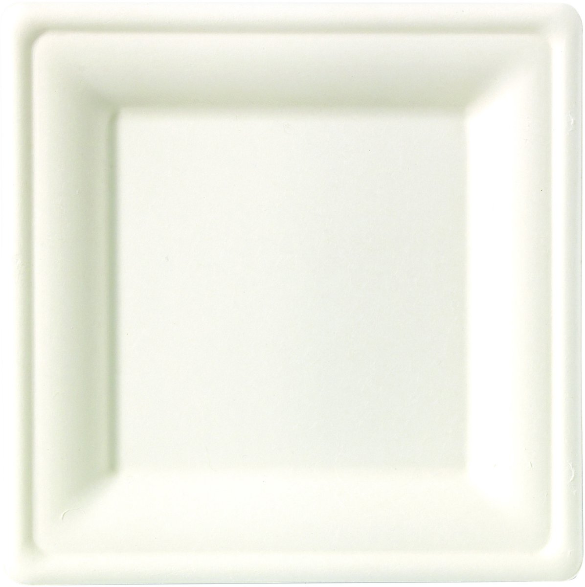 ISAP FRANCE - 10 vierkante borden van suikerrietvezel 26 x 26 cm wit composteerbaar