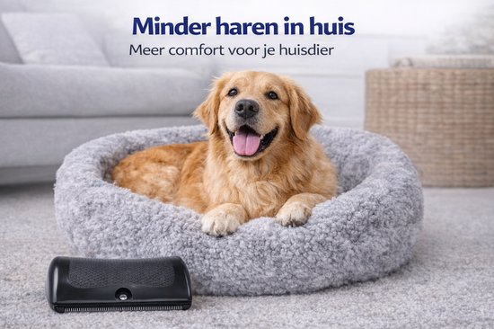Gelukkige golden retriever in een mand, met een zwarte borstel ernaast. Minder haren in huis.