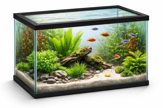 Aquarium – volglas aquarium – 40x20x25cm – 17,3L – glas – zwart kunststof frame – Europese kwaliteit – voor alle vissoorten – binnen