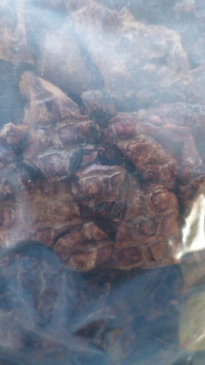 Hondensnackie Konijnenlongen – 1000 Gram – Hypoallergene en Natuurlijke Beloning