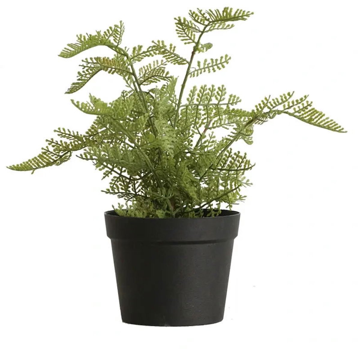 Buitengewoon de boet - Varen groen 30 cm kunstplant