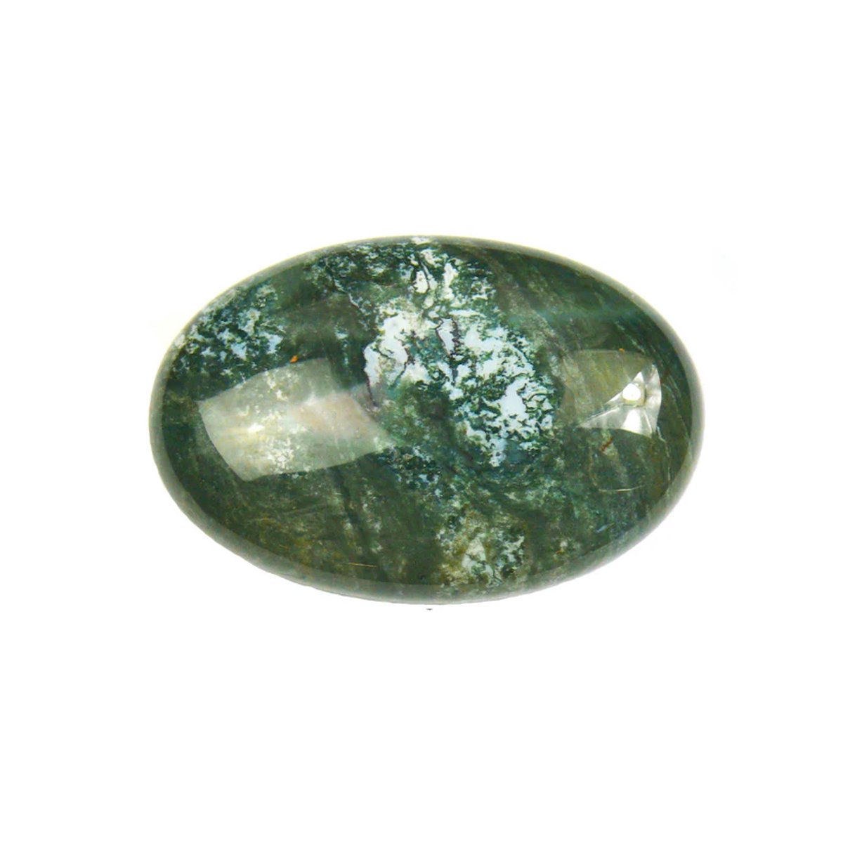Ovale steen Mosagaat (Palmsteen)