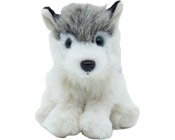 Cute since 1999 - Knuffel Husky - Hurkende Husky speelgoed - Baby knuffel - 14cm