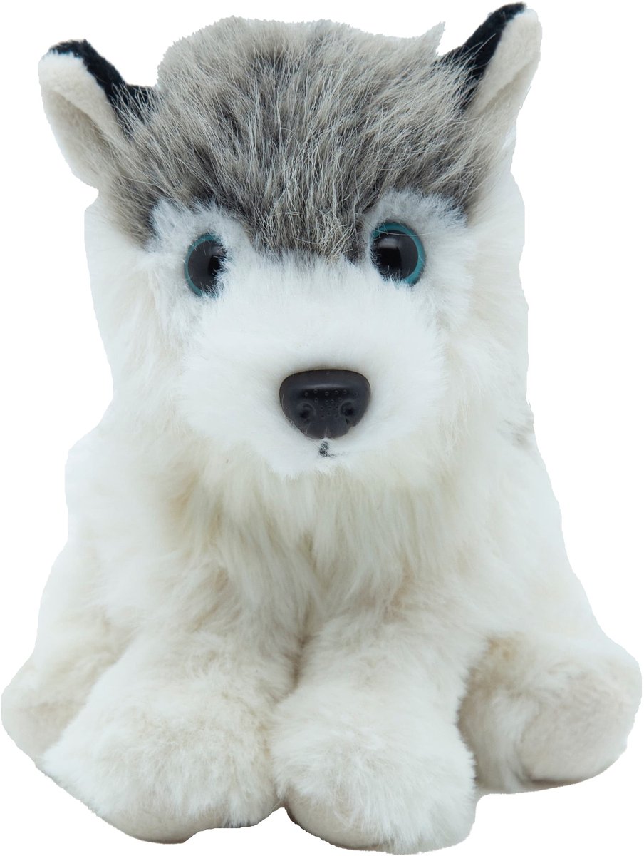 Cute since 1999 - Knuffel Husky - Hurkende Husky speelgoed - Baby knuffel - 14cm