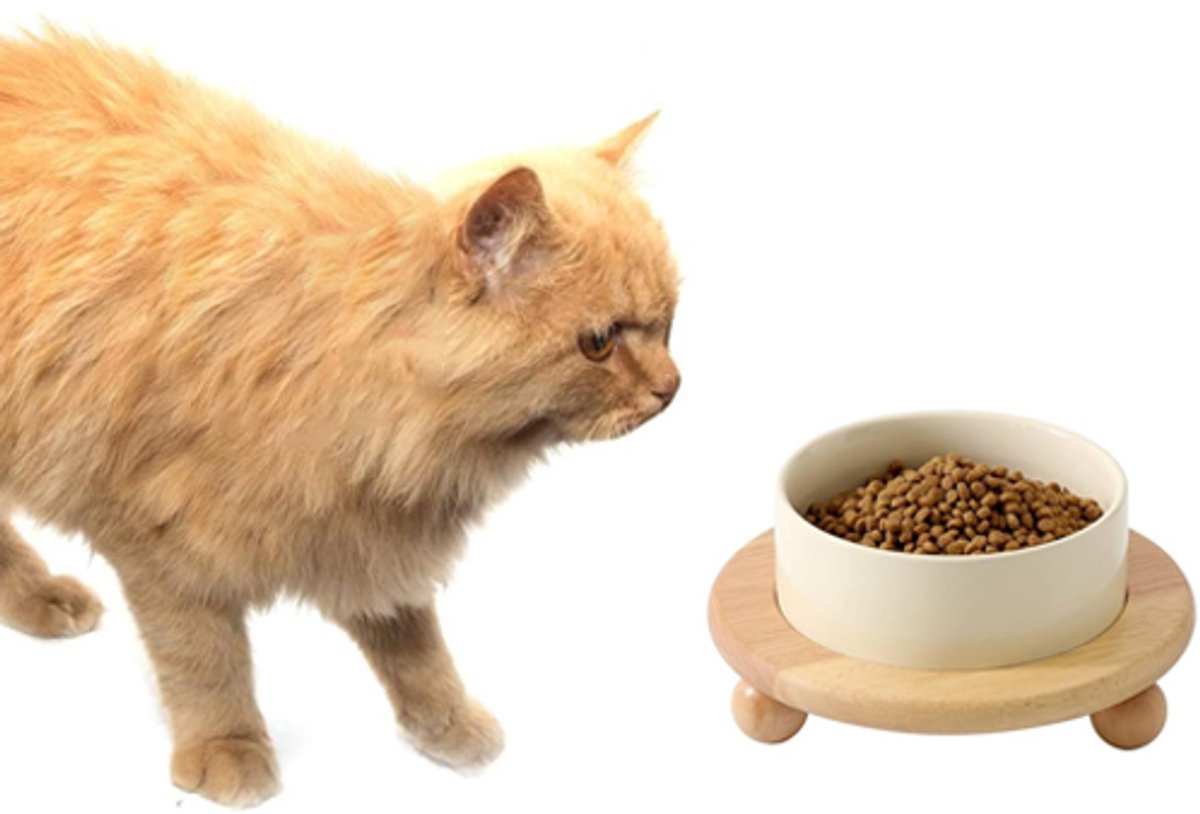 Verhoogde voerbak - Keramische voerbak - Hoge voerbak - Voerbak op standaard - Vaatwasserbestendig - Voor honden en katten - Voor dagelijks gebruik - 20.5 x 20.5 x 10.5 cm - Gebroken wit