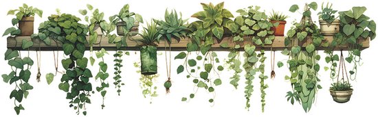 Une image d'un sticker mural avec 30 plantes vertes sur une étagère en bois. Les plantes ont des textures de feuilles variées et tombent vers le bas.