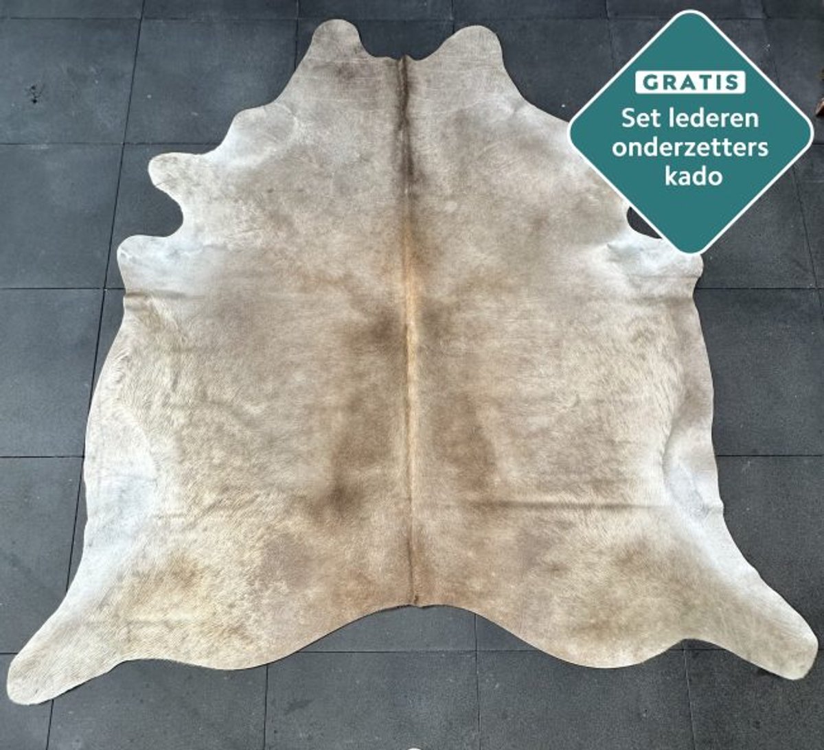 GIGANTISCHE 250x230 cm! Champagne koeienhuid vloerkleed - ENORM koeienkleed tapijt beige koeienvel groot - Lichtbruin XXXL dierenhuid dierenvel koehuid tapijt