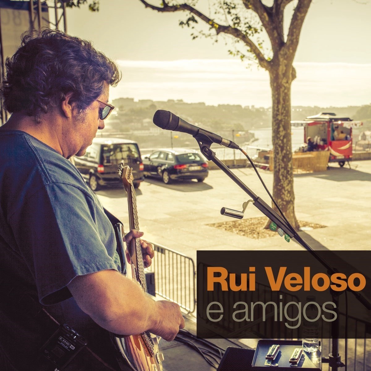 Rui Veloso & Amigos
