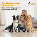 Een lachende vrouw zit met een jongen en twee honden, een Border Collie en een Golden Retriever, op de grond in een woonkamer. Tekst: Een blije hond begint bij jouw keuze. Met de juiste voeding geef je hem een gelukkig en gezond leven.