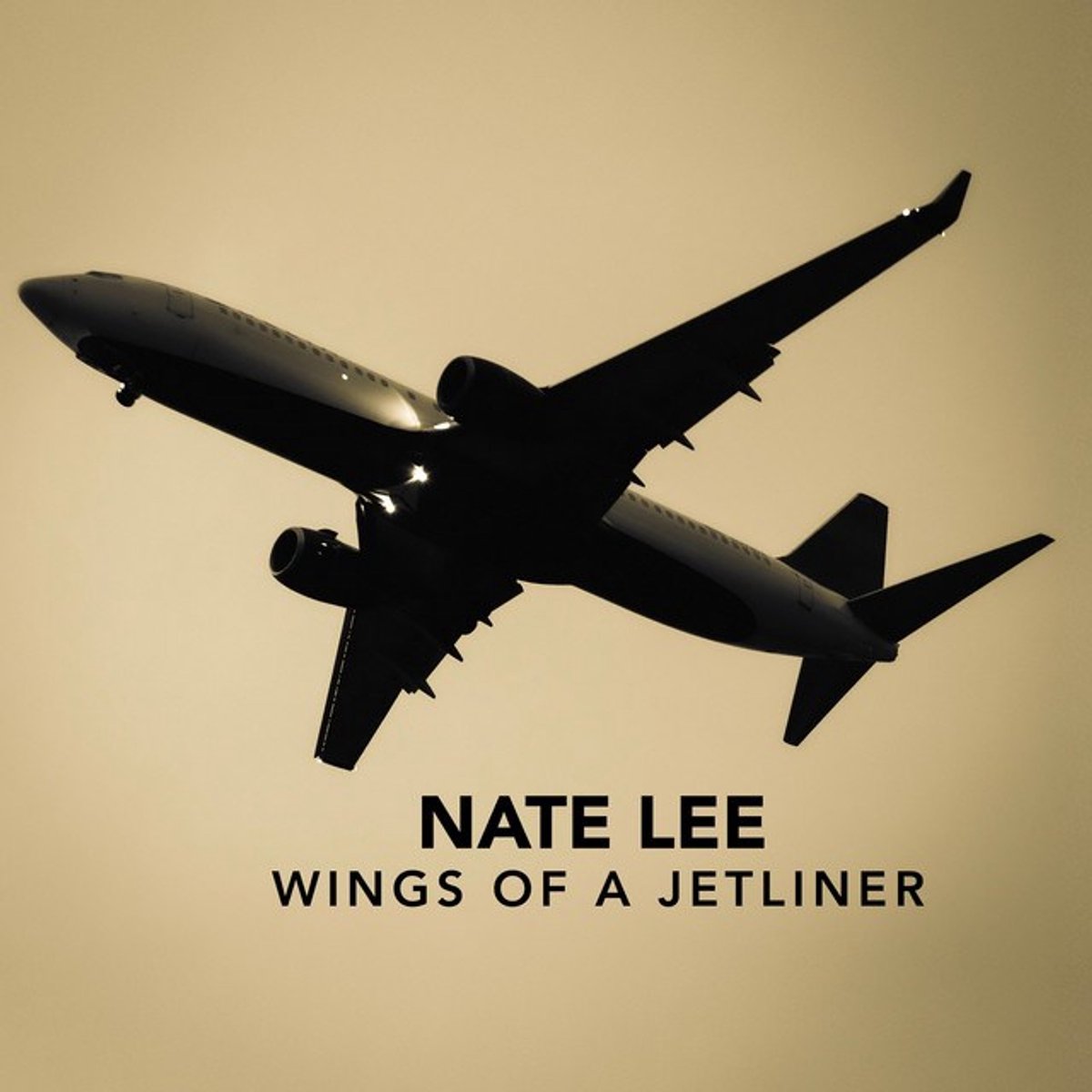 Nate Lee - Wings Of A Jetliner (CD)