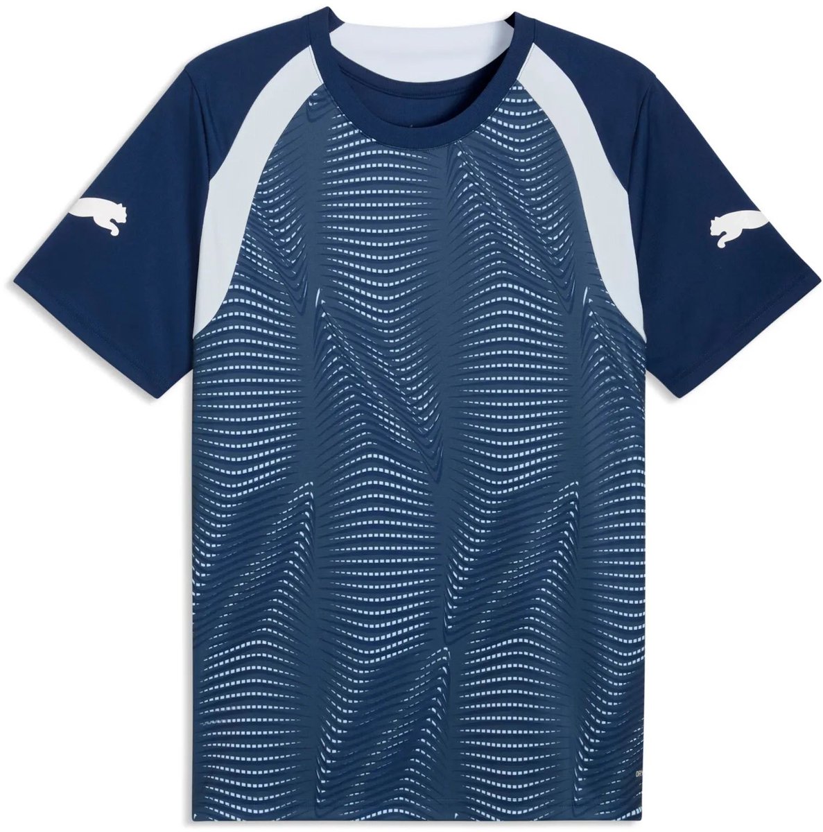 PUMA - individualfinal jersey - Voetbalshirt korte mouw heren - Blauw