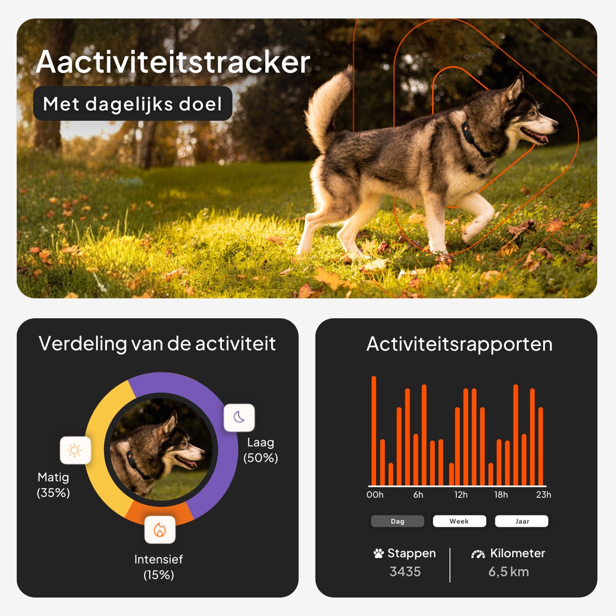 Weenect Dog XT Black Collar - NIEUWE GPS-hondenhalsband | XL-antenne | Waterdicht | Ultra-duurzame geïntegreerde Julius-K9-halsband | Abonnement vereist | Levenslange garantie thumbnail 5