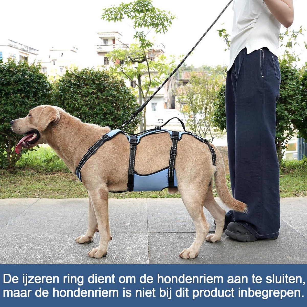 Verstelbare Hondenlift Tuig voor Volledige Lichaamsondersteuning - Geschikt voor Rehabilitatie en Oude Honden
