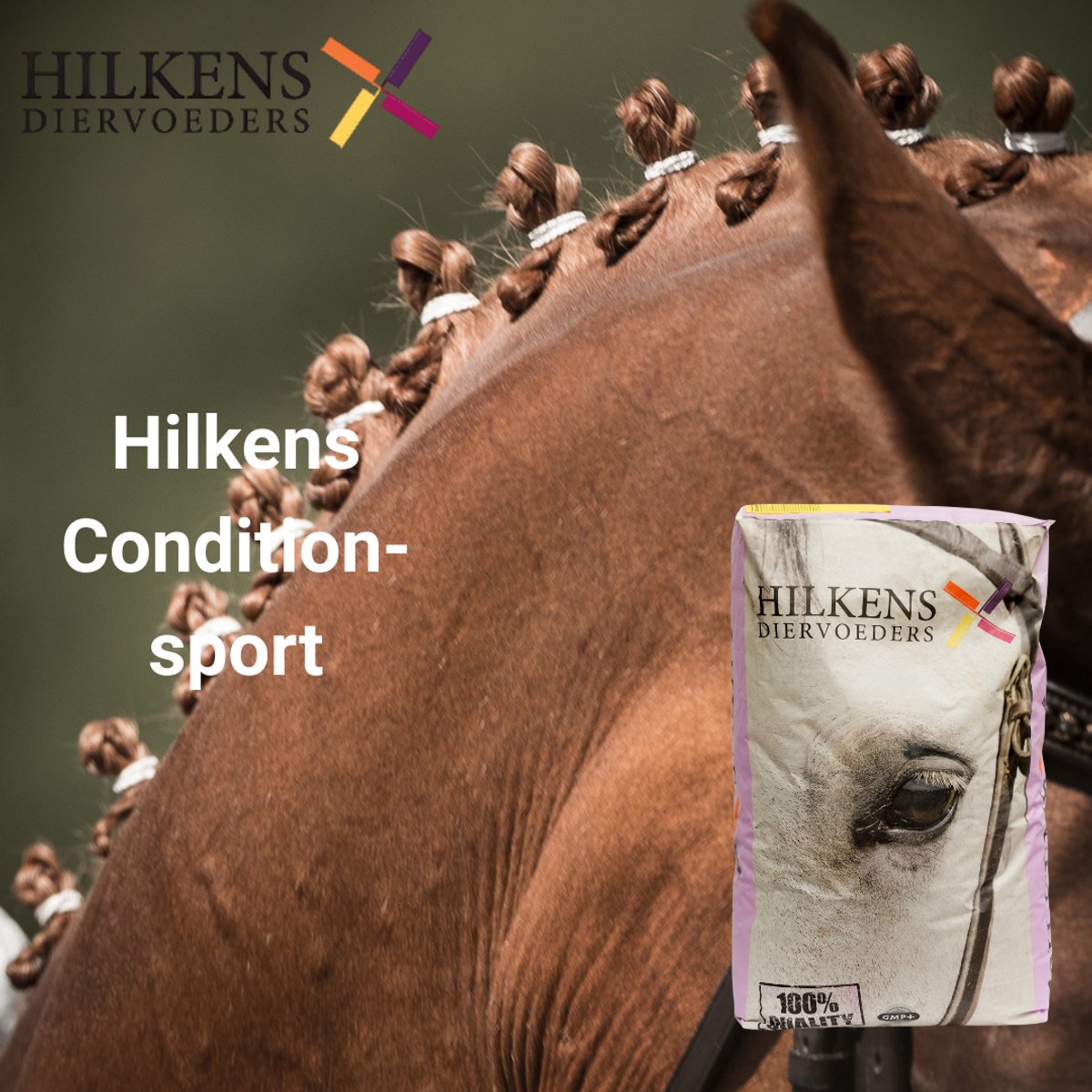 Condition-sport