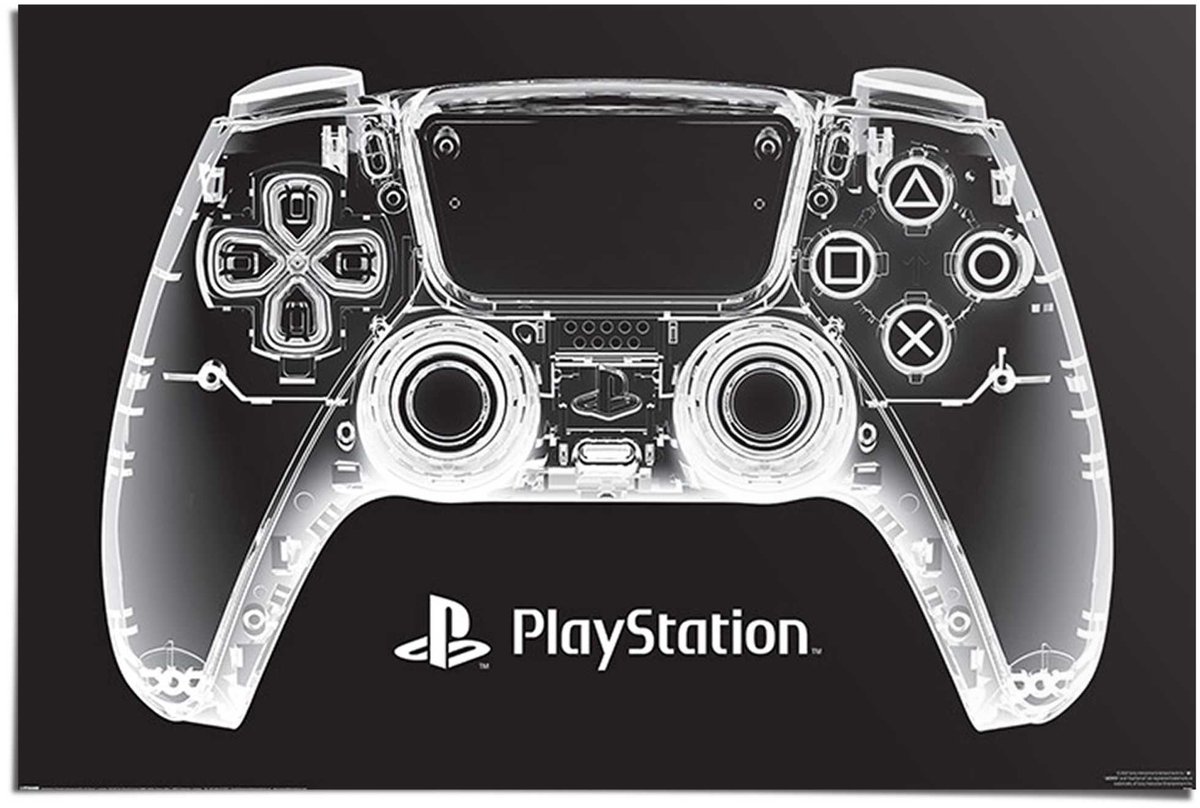 Poster PS Controller - 61 x 91,5 - Papier - REINDERS