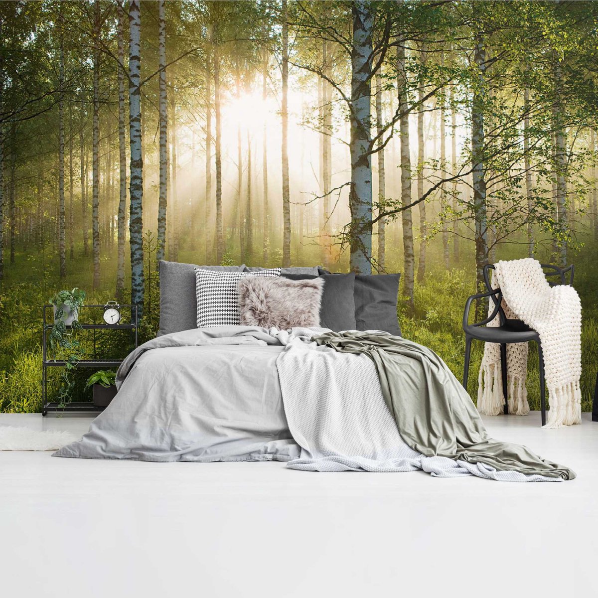 Fotobehang Zonnestralen in berkenbos - 260 x 384 - Vlies - REINDERS