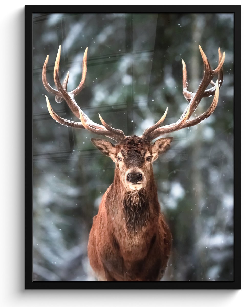 FrameYourWall Poster in lijst - Fotolijst 50x70 cm - Posters - Hert - Winter - Sneeuw - Bos - Natuur - Dier - Posterlijst zwart - Decoratie - Wanddecoratie woonkamer - Muurdecoratie slaapkamer