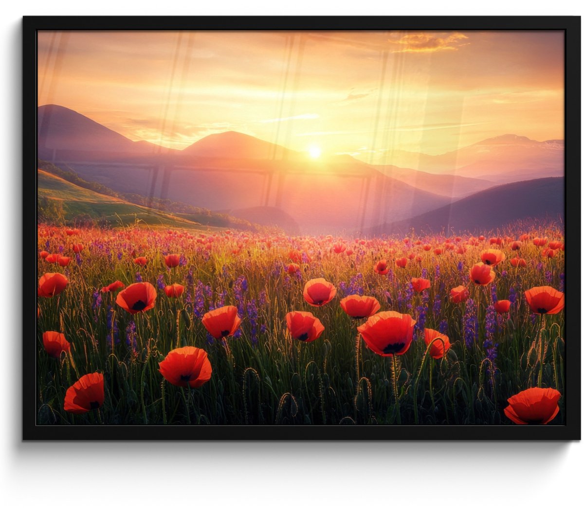 FrameYourWall Poster in lijst - Fotolijst 70x50 cm - Posters - Landschap - Zonsondergang - Bloemenveld - Posterlijst zwart - Decoratie - Wanddecoratie woonkamer - Muurdecoratie slaapkamer Bloemen - Klaprozen