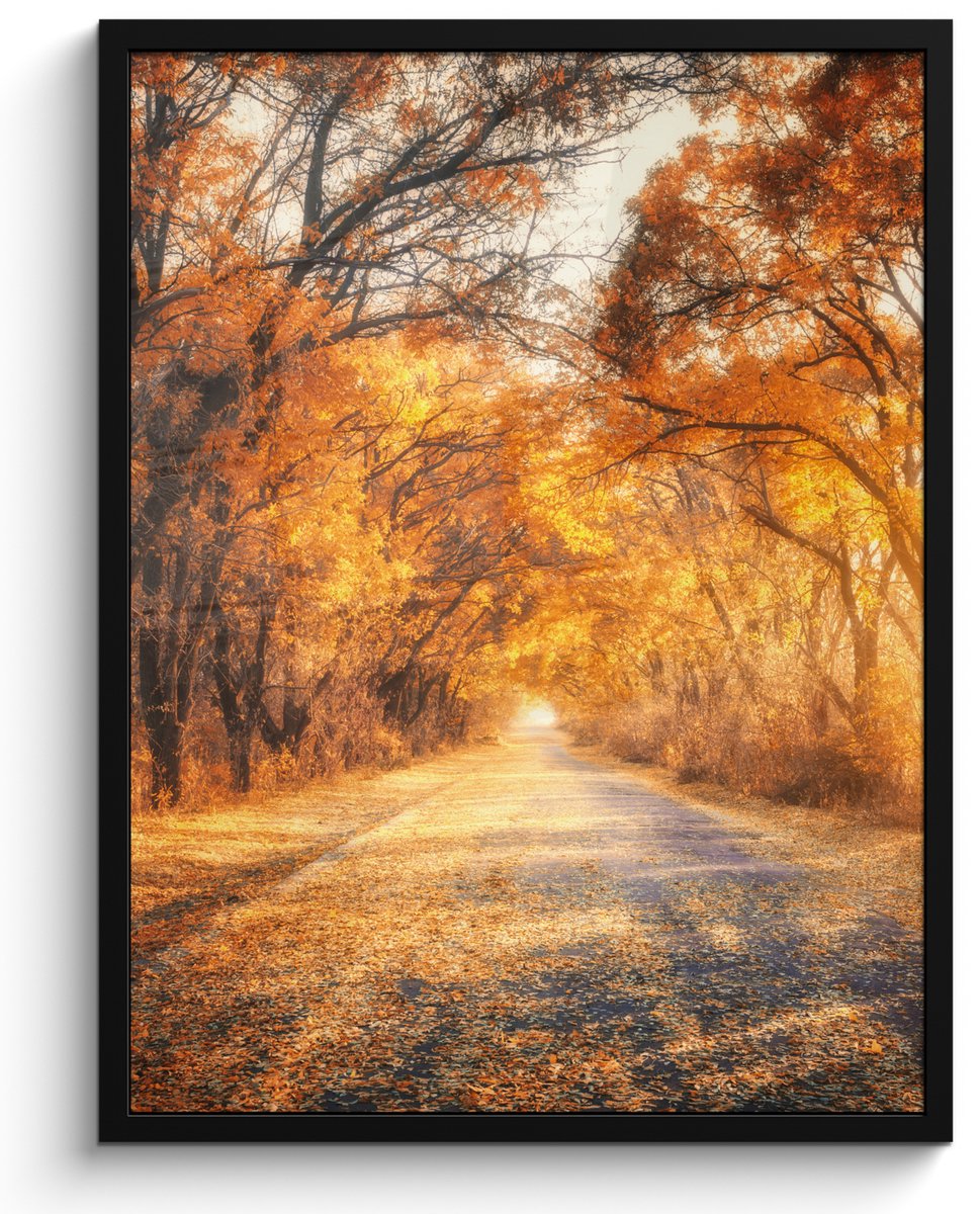 FrameYourWall Poster in lijst - Fotolijst 50x70 cm - Posters - Bos - Herfst - Bomen - Bospad - Natuur - Posterlijst zwart - Decoratie - Wanddecoratie woonkamer - Muurdecoratie slaapkamer Oranje