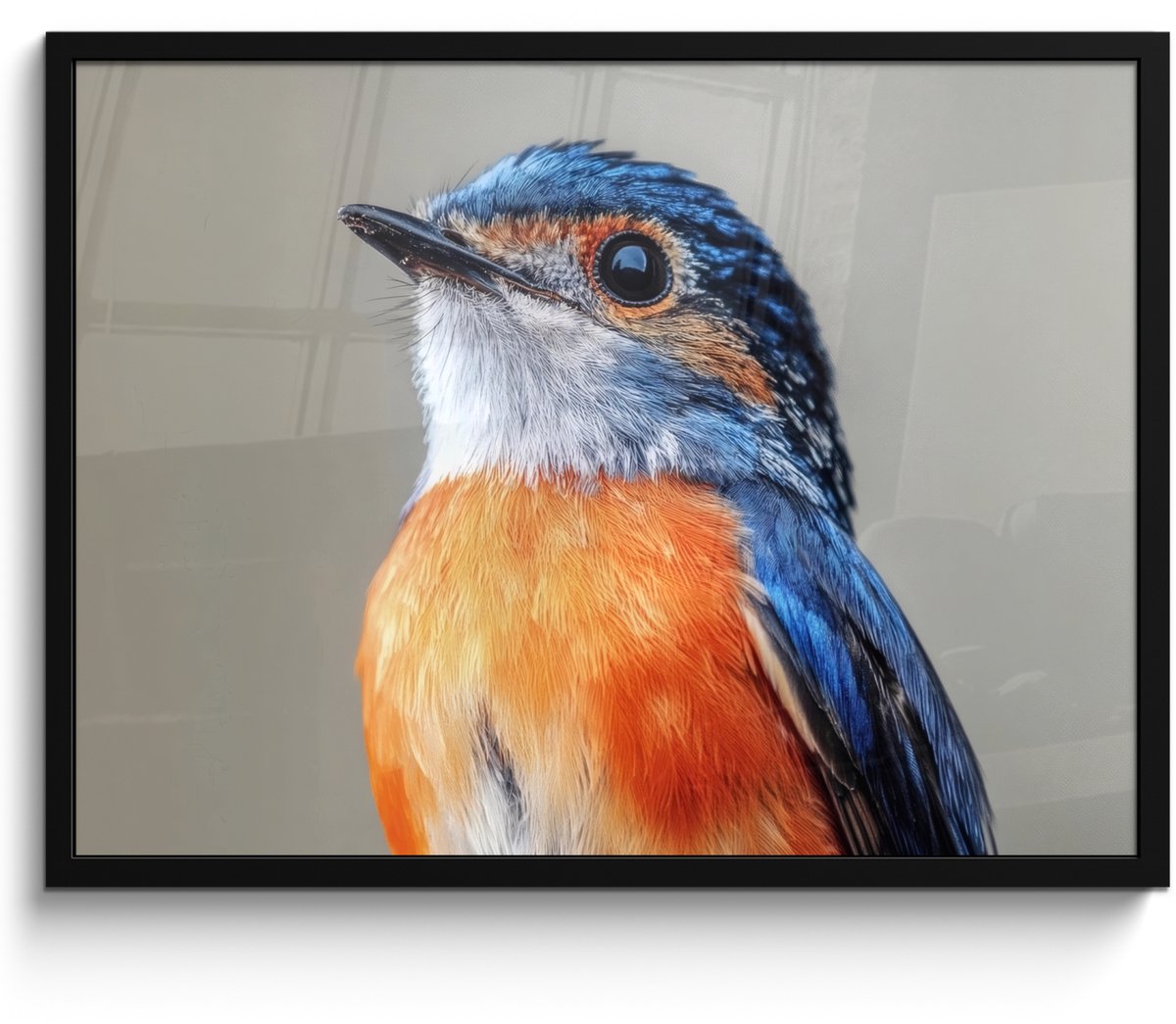 FrameYourWall Poster in lijst - Fotolijst 70x50 cm - Posters - Kleurrijk - Vogeltje - Veren - Blauw - Posterlijst zwart - Decoratie - Wanddecoratie woonkamer - Muurdecoratie slaapkamer