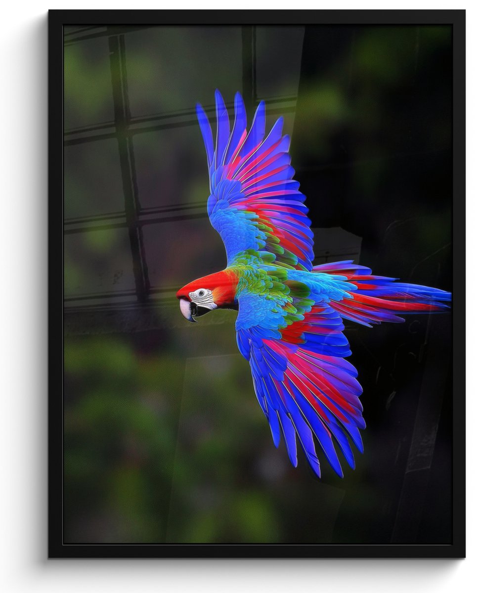 FrameYourWall Poster in lijst - Fotolijst 50x70 cm - Posters - Felgekleurd - Papegaai - Bos - Vleugels - Posterlijst zwart - Decoratie - Wanddecoratie woonkamer - Muurdecoratie slaapkamer Papegaai - Felgekleurd