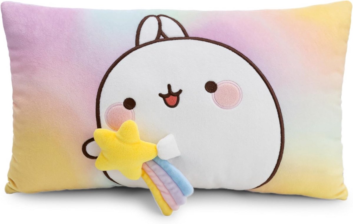 Zacht Pluche Kussen 43x25 cm Wit Knuffelkussen voor Kinderen en Volwassenen