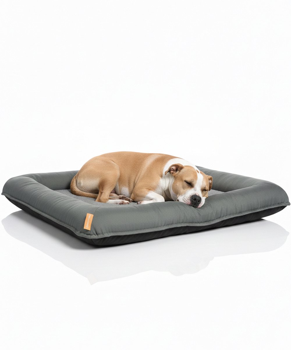 Happysnoots Orthopedisch Hondenkussen XL - 10cm Koudschuim
