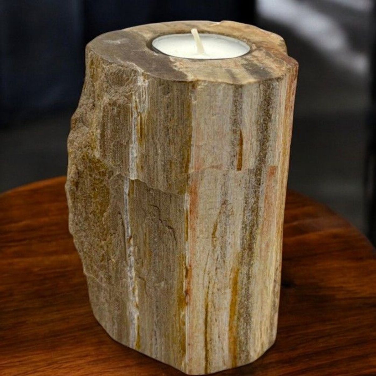 Ancient Wisdom Versteend Hout Kandelaar - Enkel Hoog multicolor