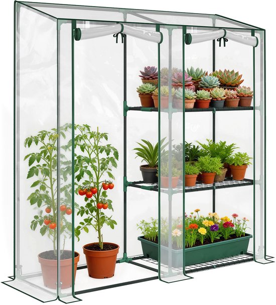 Transparante kas met tomatenplant aan de linkerkant en diverse planten op schappen aan de rechterkant.
