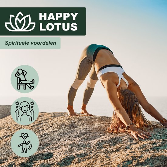 Vrouw in yogahouding (downward-facing dog) op rotsen bij zee. Iconen van ontspanning, groei en gezondheid.