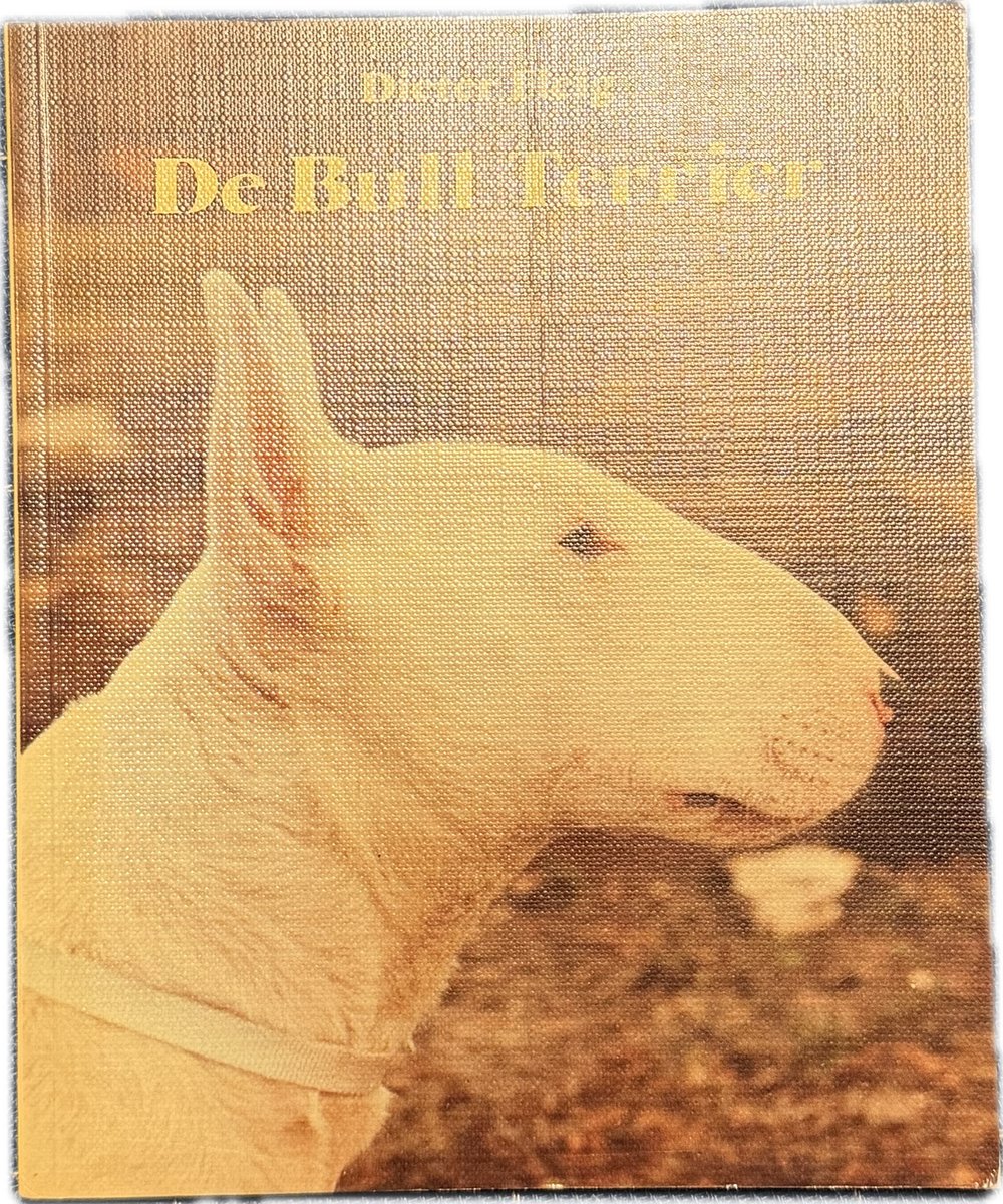 Bull Terrier
