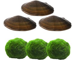 Natuurlijke Vijverfilter Set met Algenballen en Vijverschelpen voor Helder Water