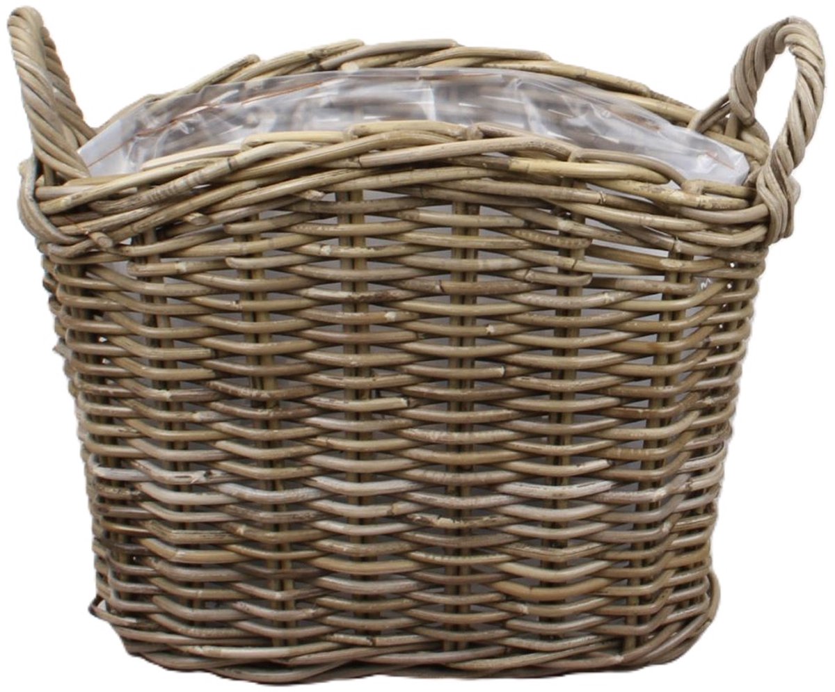 MigoStyling - Plantenmand - Vensterbankmand - Set van 2 - Rotan - Riet - Met Plastic - Hengsels - Hoogte 30 cm