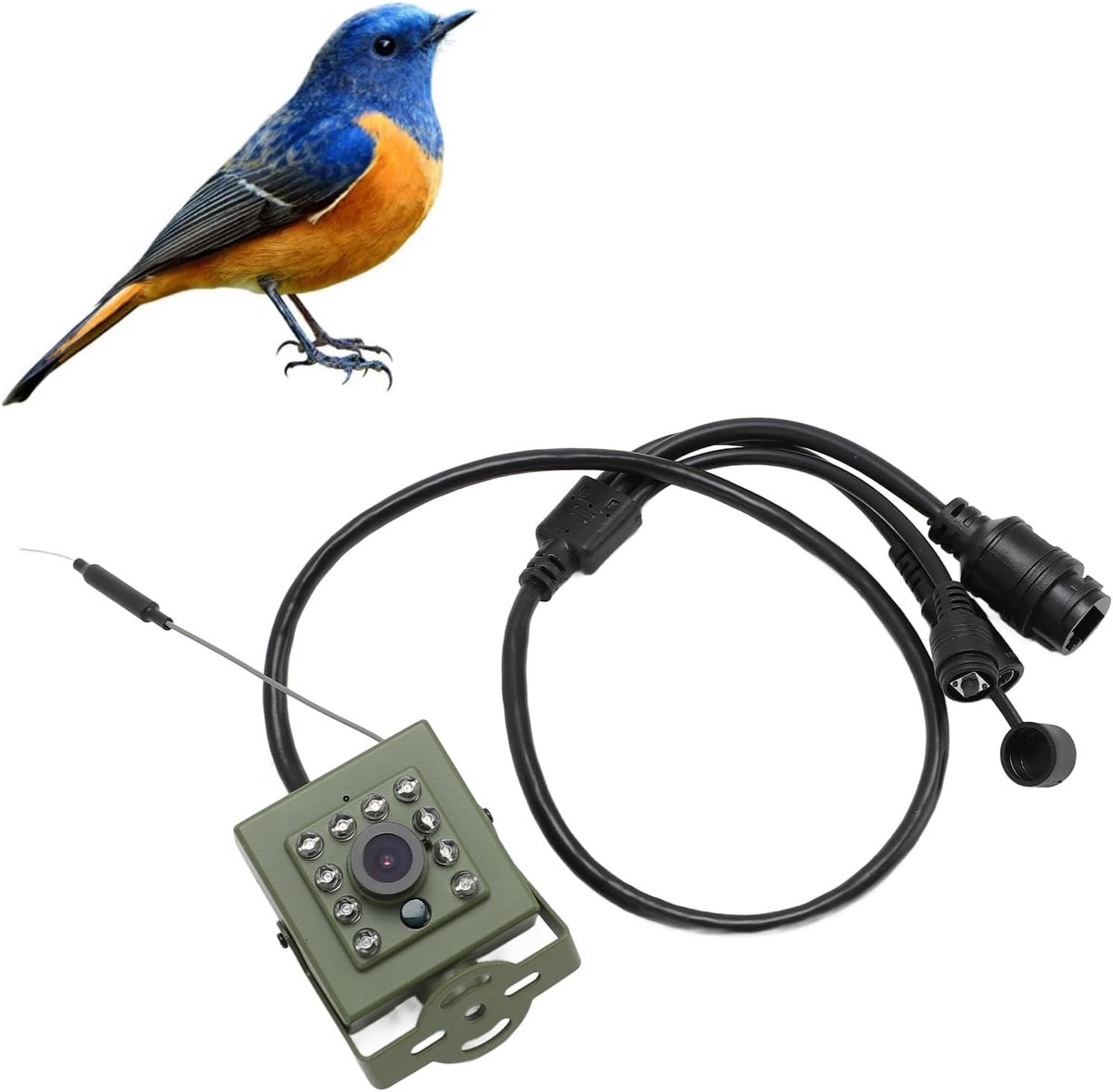 Vogelcamera Buiten - Draadloze Camera - Vogels Observeren - Stil Nachtzicht - 5MP Groothoeklens