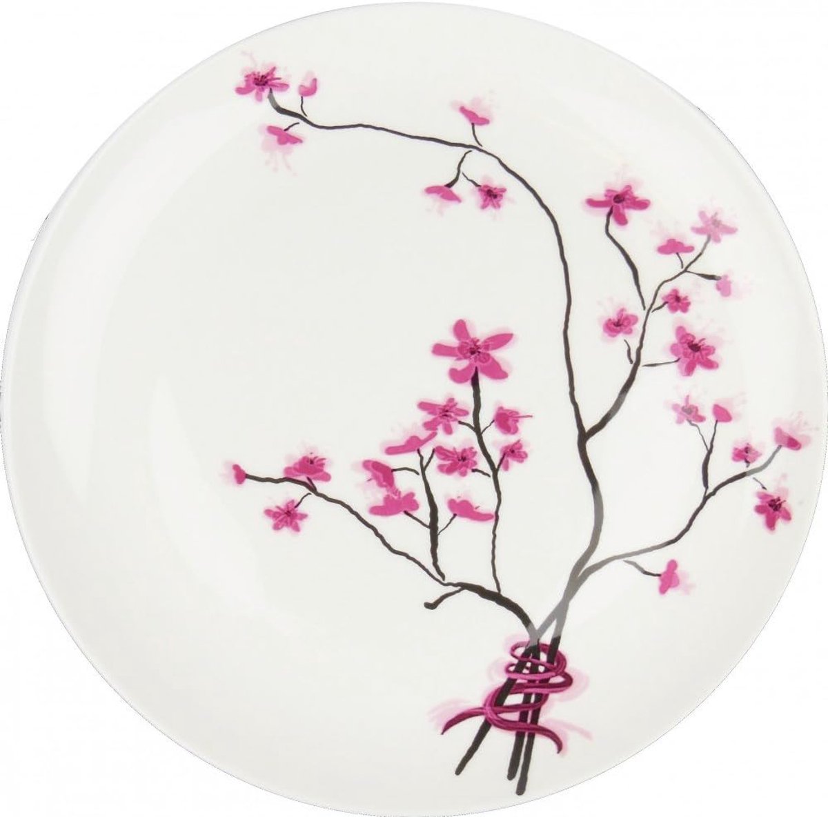 Gebaksbordjes Dessertbord - Kleine Borden - Taart Serveren - Magnetron Vaatwasbestendig - 19 cm - Roze