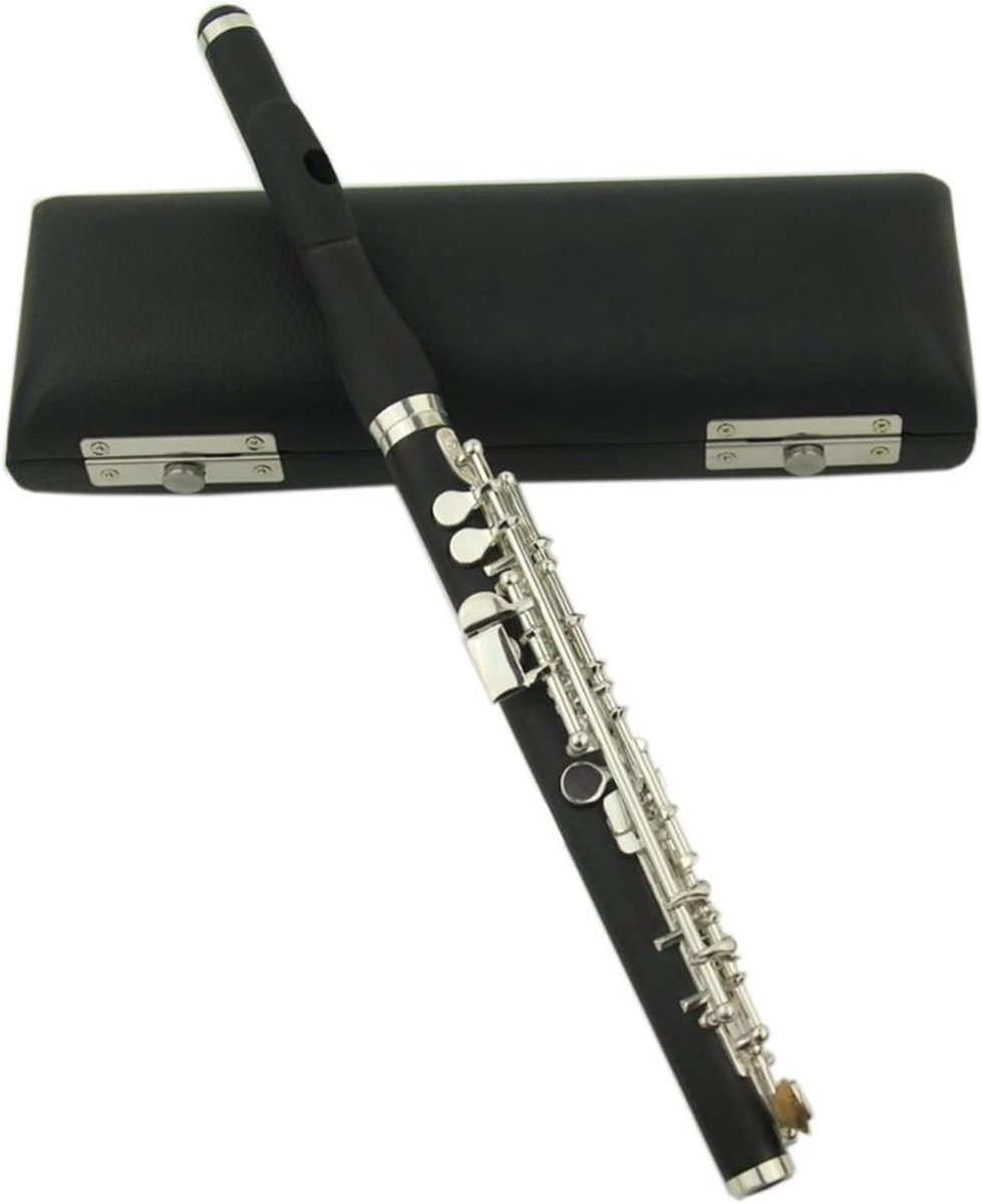 Piccolo Fluit - Muziek Instrument - Beginners Leren - C-Sleutel Verzilverd - 16 Gaten - Zilver