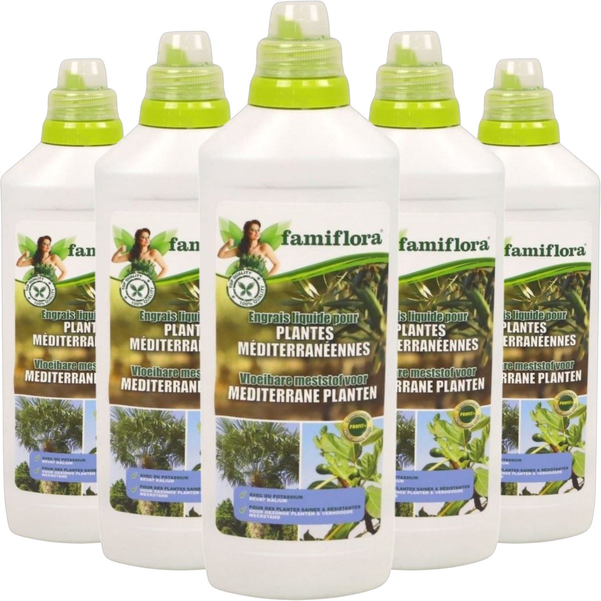 Famiflora vloeibare meststof voor mediterrane planten 5L (5 x 1L) - Voordeelverpakking meststof voor olijvenbomen. palmboom. citrus. vijg - Voor mediterrane, zuiderse planten