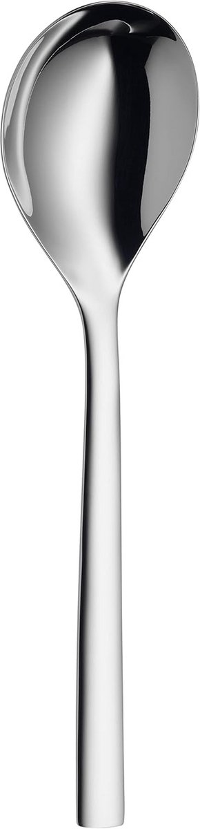 Opscheplepel - Keukengereedschap - Serveren van maaltijden - Vaatwasmachinebestendig - 25 cm lengte