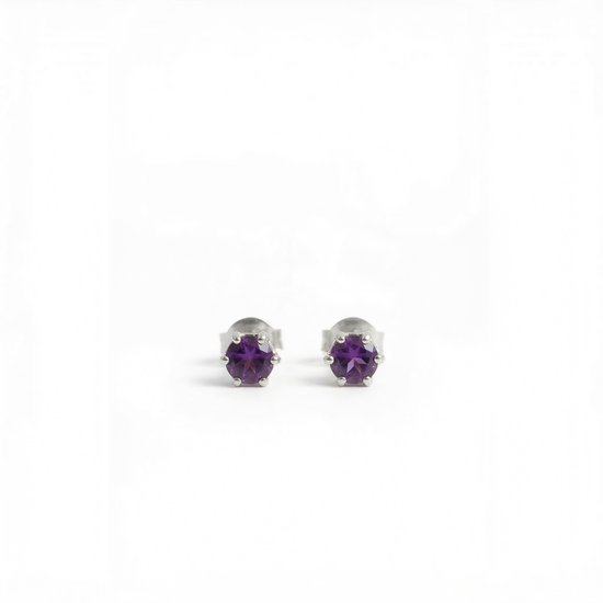 Oorknopjes Geboortesteen Februari Amethist Zilver | cadeau dames