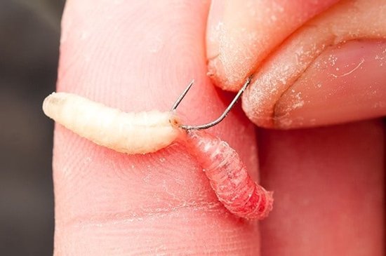 Guru F1 Maggot Barbless Spade End (10 pcs) - Maat : 22 van Guru — afbeelding 5
