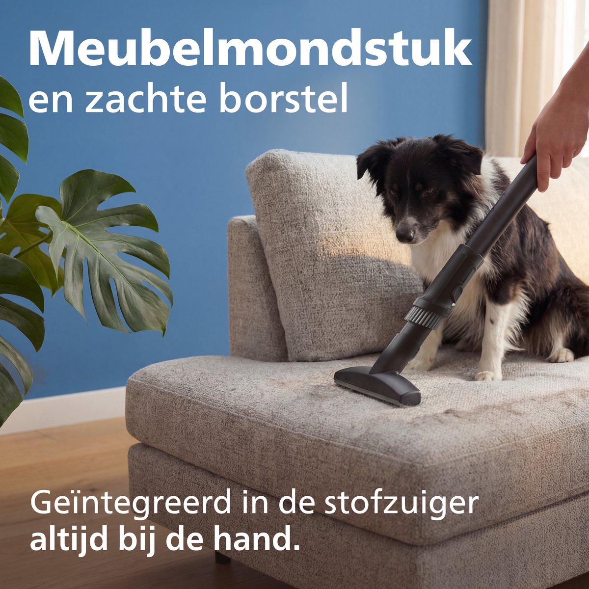 Philips 8000-serie Performer XD8121/10 - Stofzuiger met zak - Groen — afbeelding 7