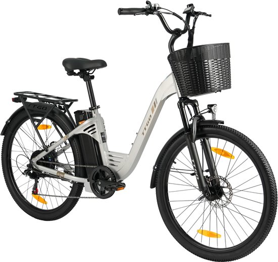 Zilverkleurige elektrische fiets met een zwarte mand voorop, een bagagedrager achter en een batterij aan het frame.