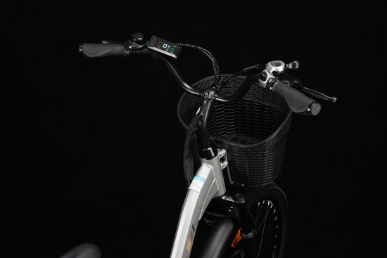 Elektrische Fiets TTGO C2 Pro - 250W Motor - 36V 18Ah Accu - Bereik 80-120km - 26" Banden Elektrische Stadsfiets - Shimano 7-Speed - 25km/u - Zilver van Merkloos — afbeelding 5