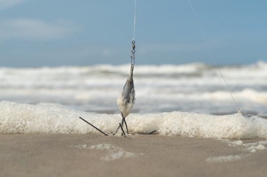 Ultimate BeachForce Strandhengel Set 4.50m - Zeevis Set van Merkloos — afbeelding 5