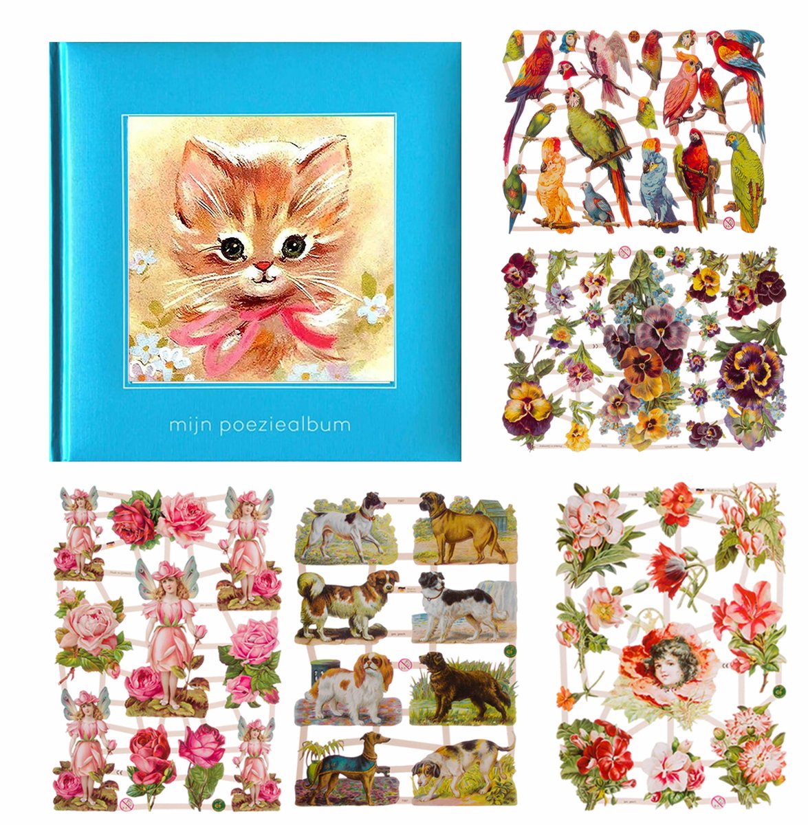 Poëziealbum - 16x16 - Lichtblauw - S7 - Poes met roze strik - met 5 vellen Poëzieplaatjes - Versjes - Gedicht - Cadeau - Sint - Geschenk - Knutselen - Hobby - Creatief - Scrapbook - Poezie
