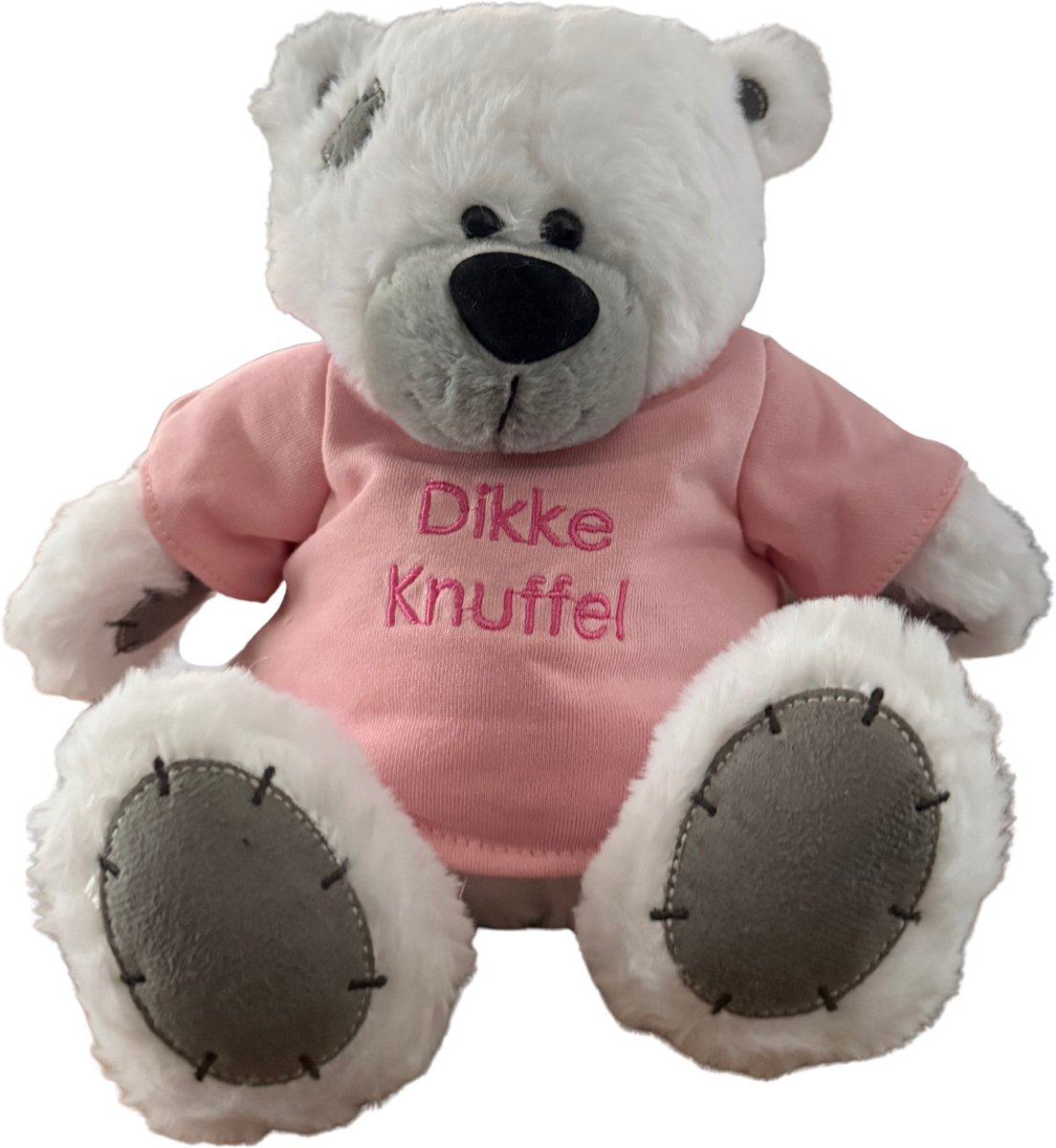 Schattige Witte Teddybeer met tekst Dikke Knuffel – Beer Pluche Knuffel Wit met tekst Dikke Knuffel 25 cm - knuffelbeer teddybeer - plush beer - Perfect Cadeau voor Valentijn of Verjaardag
